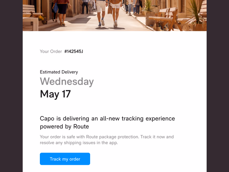 The Route tracking email, branded to the merchant, showing an estimated delivery date and a track my order button